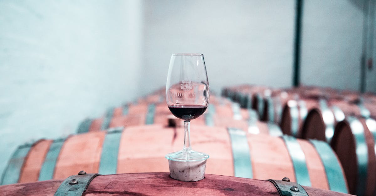 Yarra Valley wine tasting at a cellar door