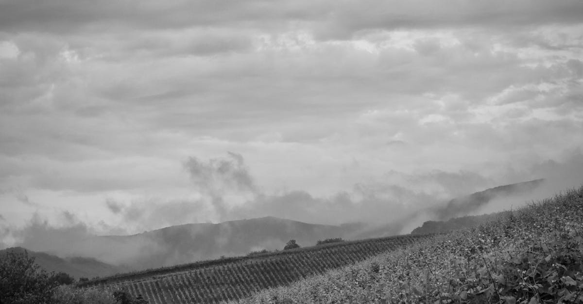 Yering Station — historic Yarra Valley estate
