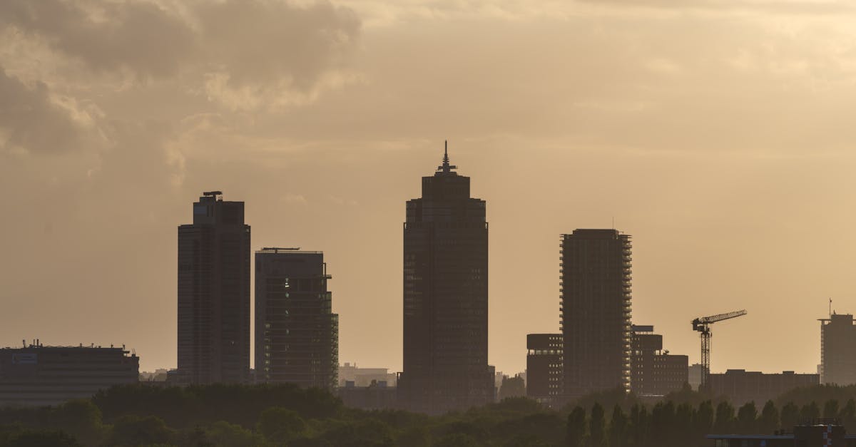Melbourne vs Sydney hero — two Australian capitals