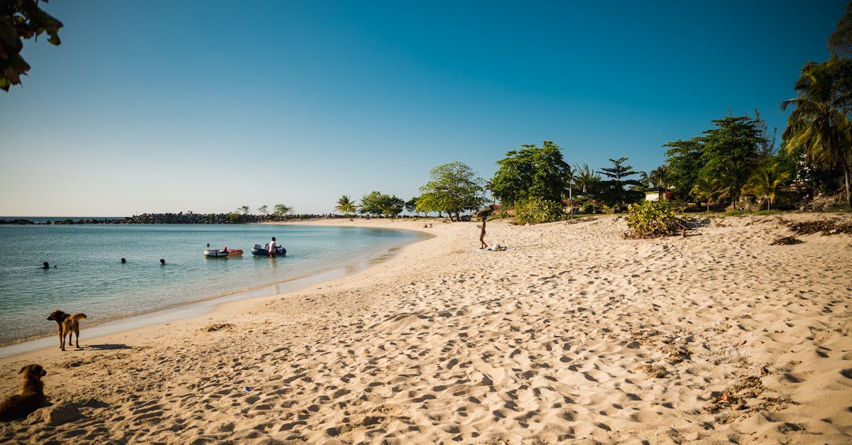 St Kilda Beach in summer