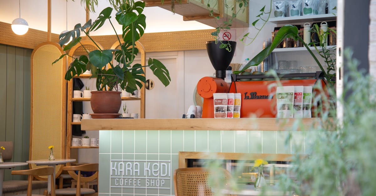 Vegan cafe interior — Fitzroy or Collingwood