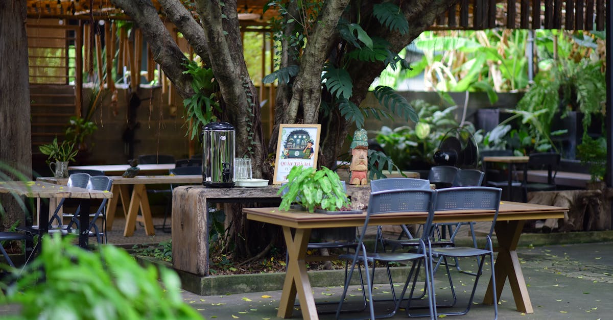 Dandenong Ranges high tea cafes