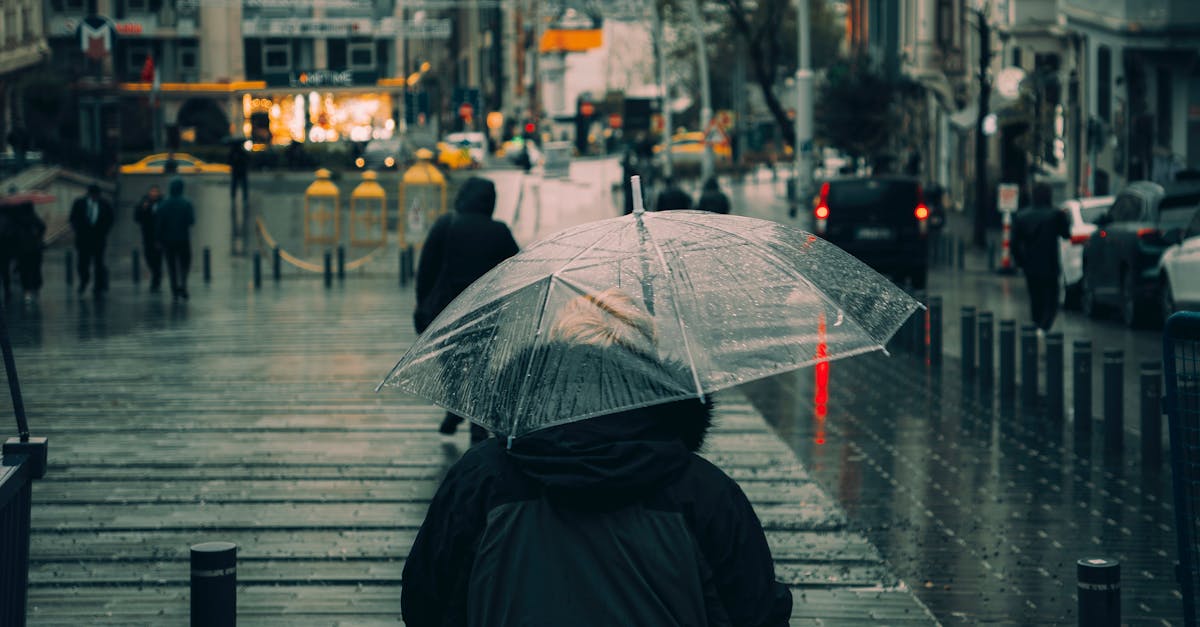 Melbourne rainfall by month