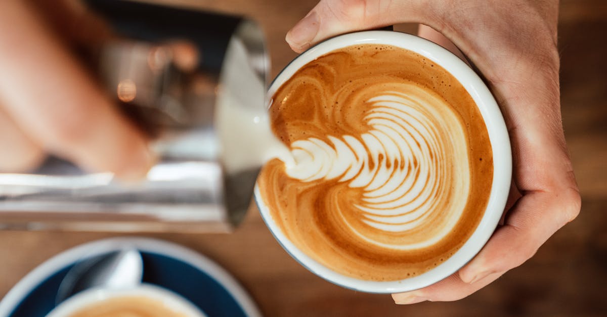 Melbourne flat white — perfect microfoam art