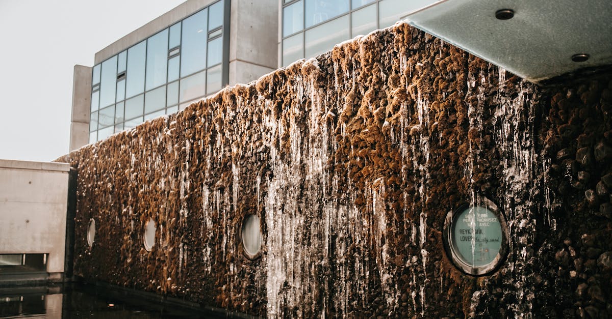 NGV International — the famous water wall entrance