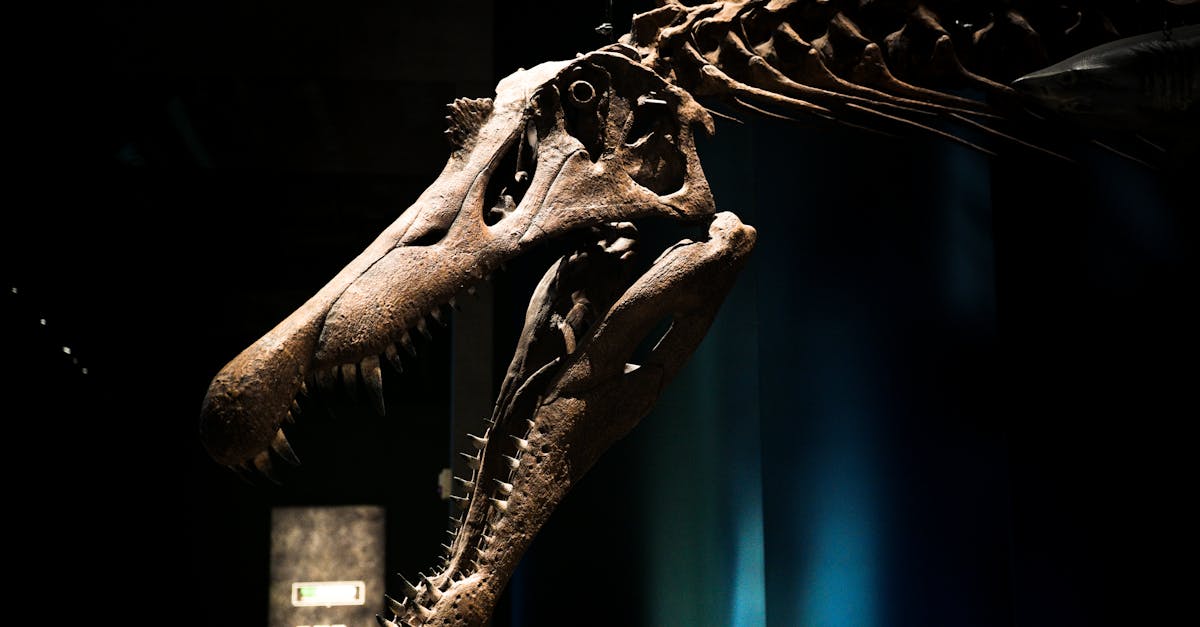 Dinosaur Walk — Melbourne Museum's signature gallery