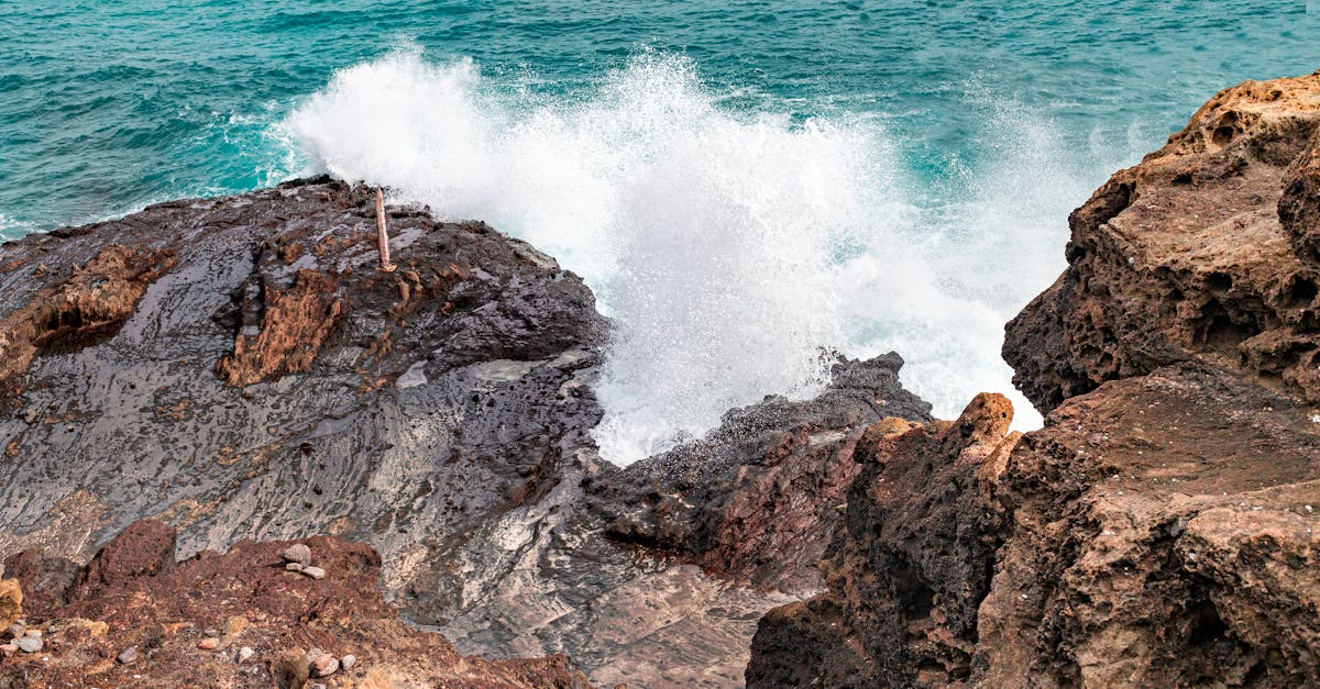 The Nobbies — clifftop seal viewing platform
