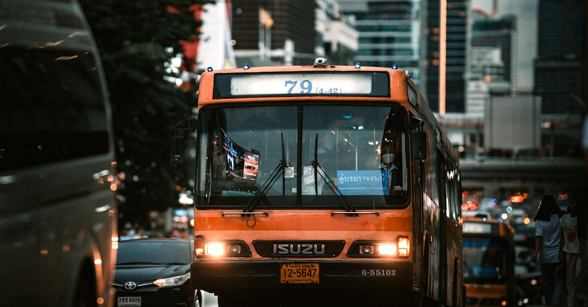 Melbourne bus — filling gaps the tram network does not reach
