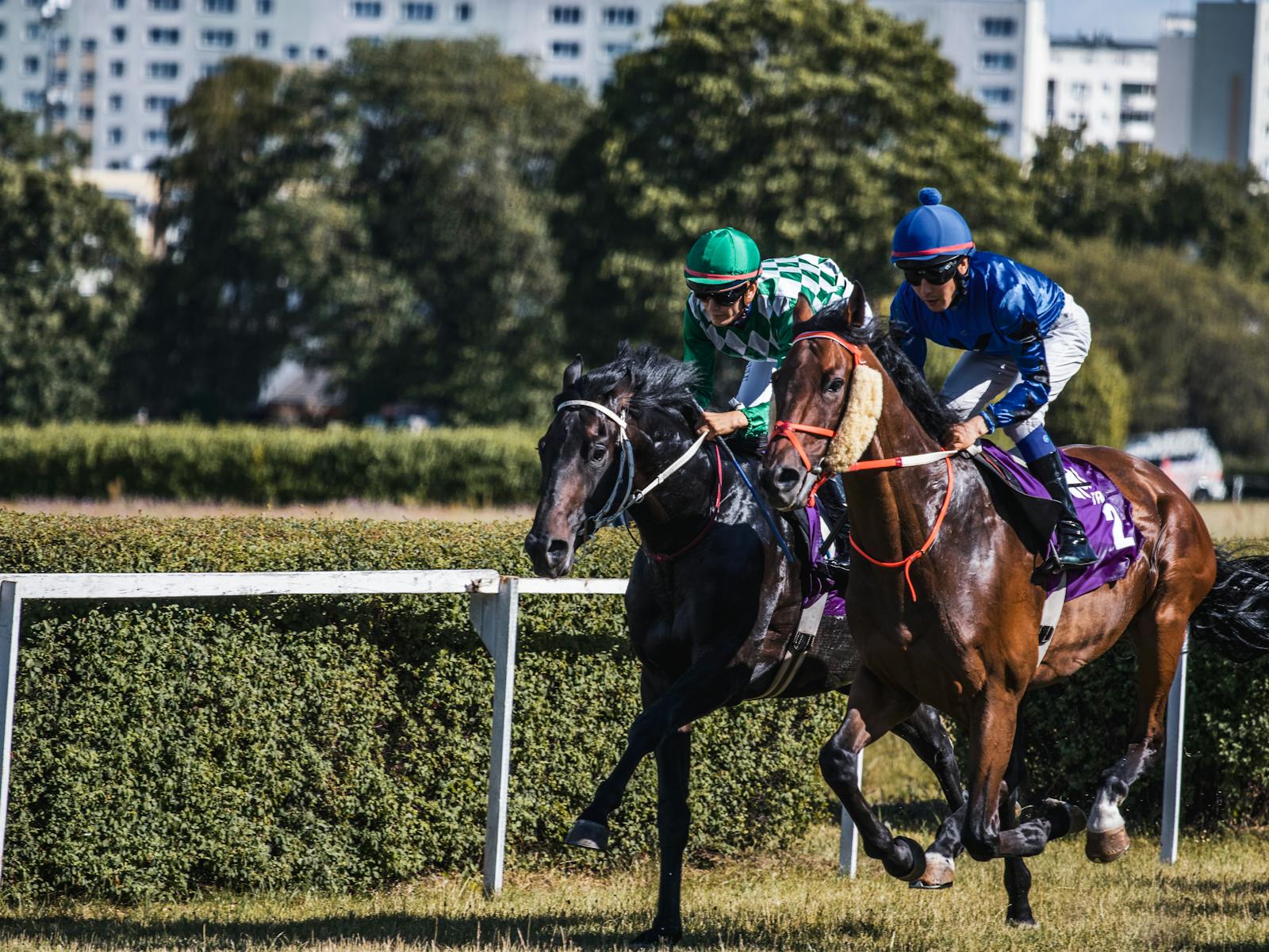 Horse racing at a Melbourne Cup Carnival meet in November