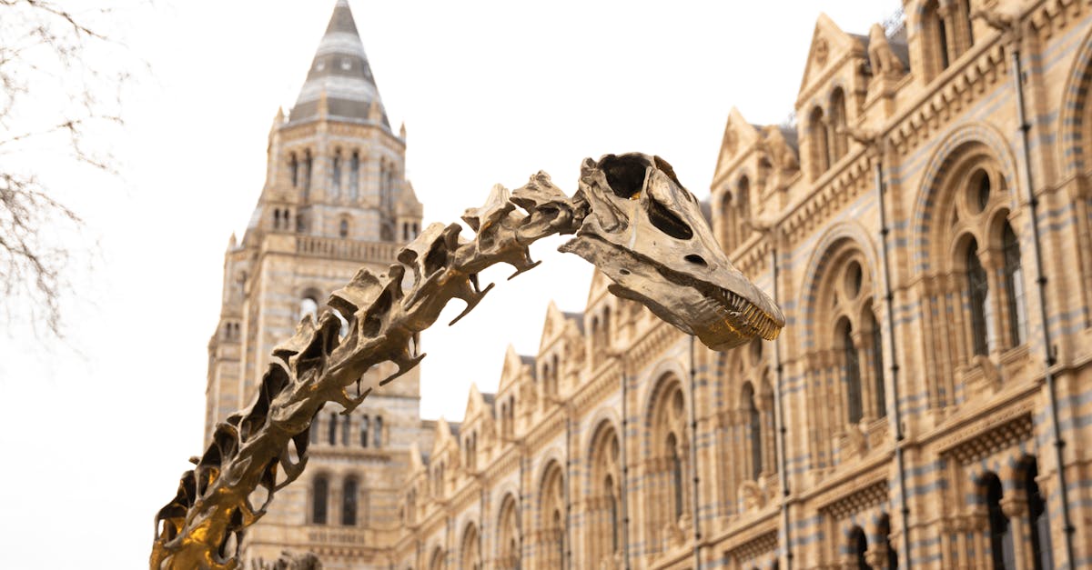 Melbourne Museum for kids — dinosaurs and Children's Gallery