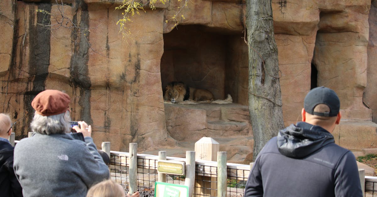 Melbourne Zoo visit with kids — animals and exhibits