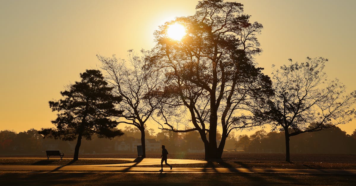 Running and parkrun in Melbourne — Tan Track and parkruns