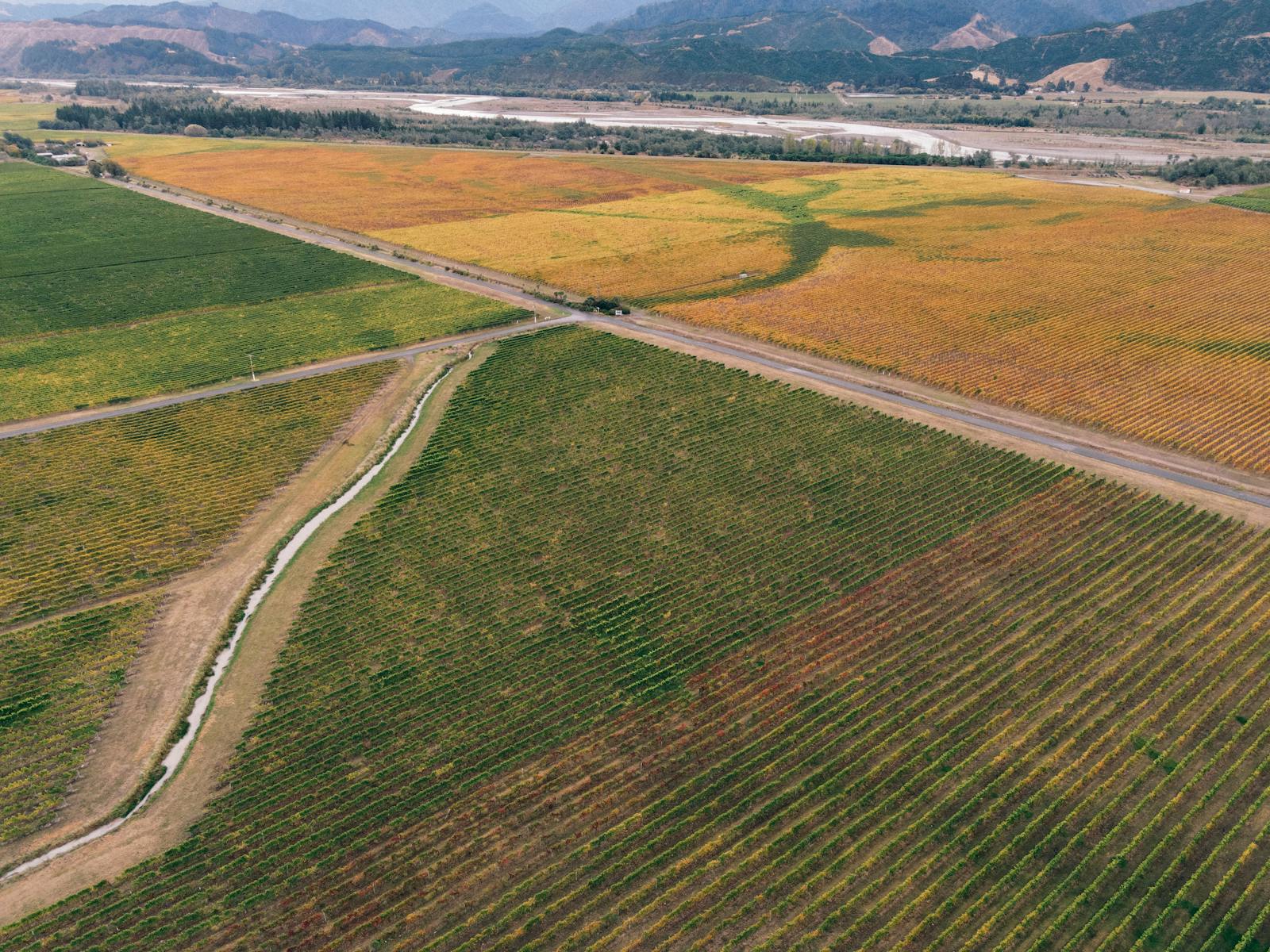 Aerial view of Yarra Valley vineyards in autumn — wine region day trip from Melbourne in April