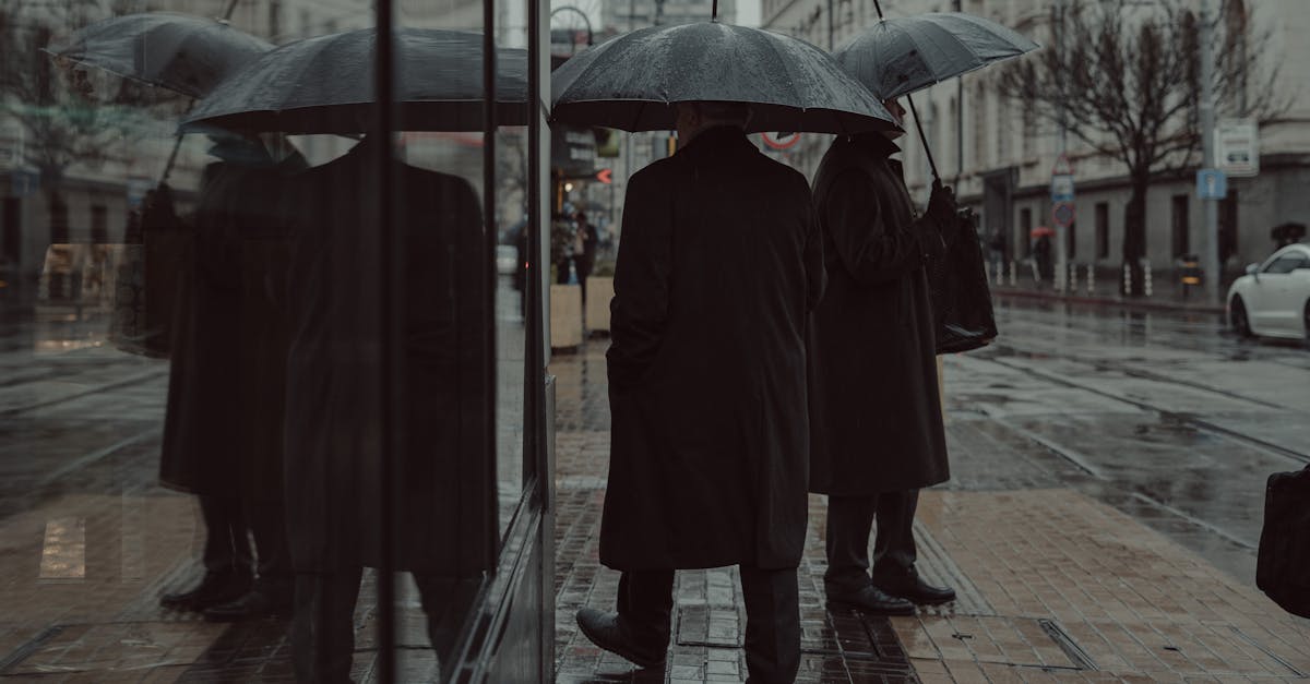 Melbourne in winter hero — cool temperate season