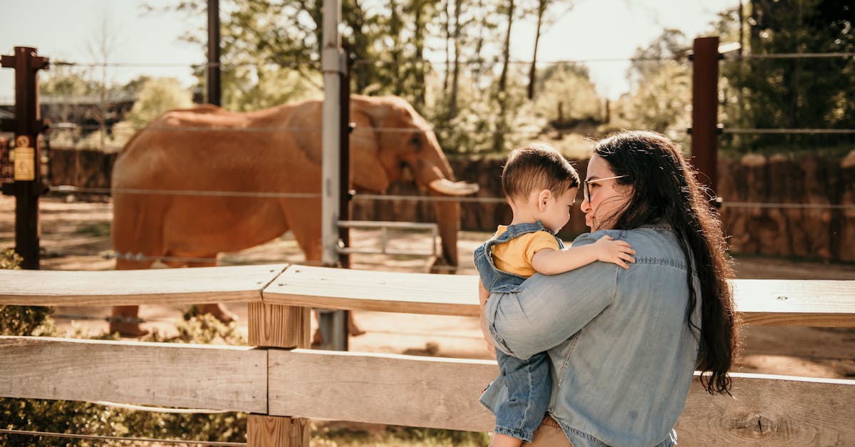 Family-friendly attractions at Melbourne Zoo