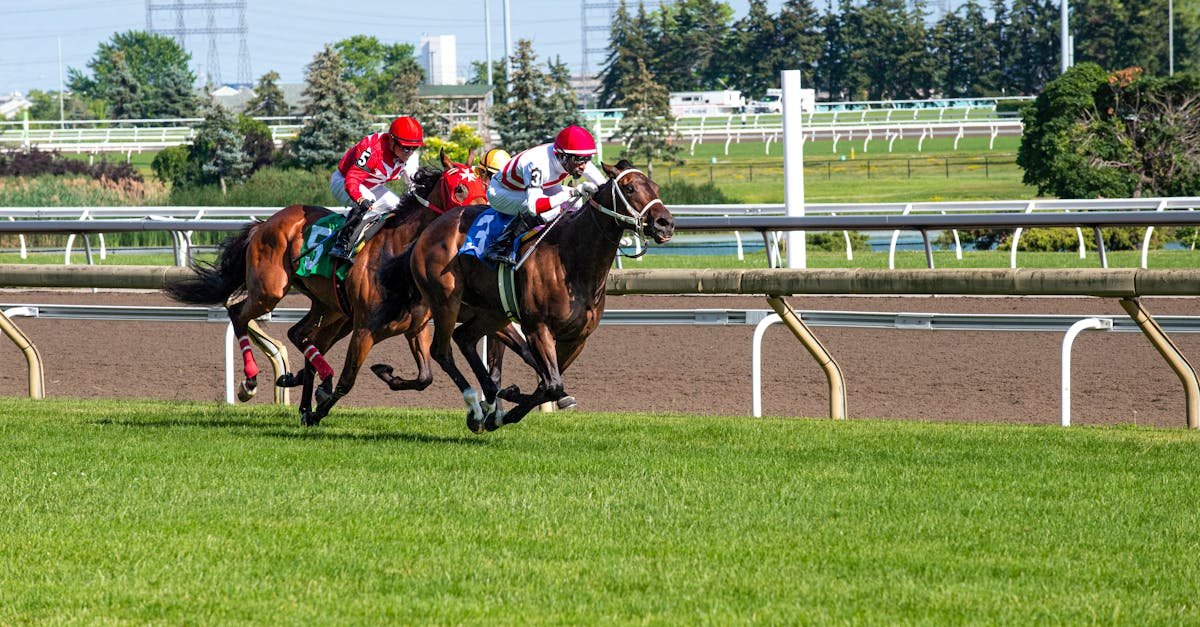 Flemington Racecourse the home of the Cup