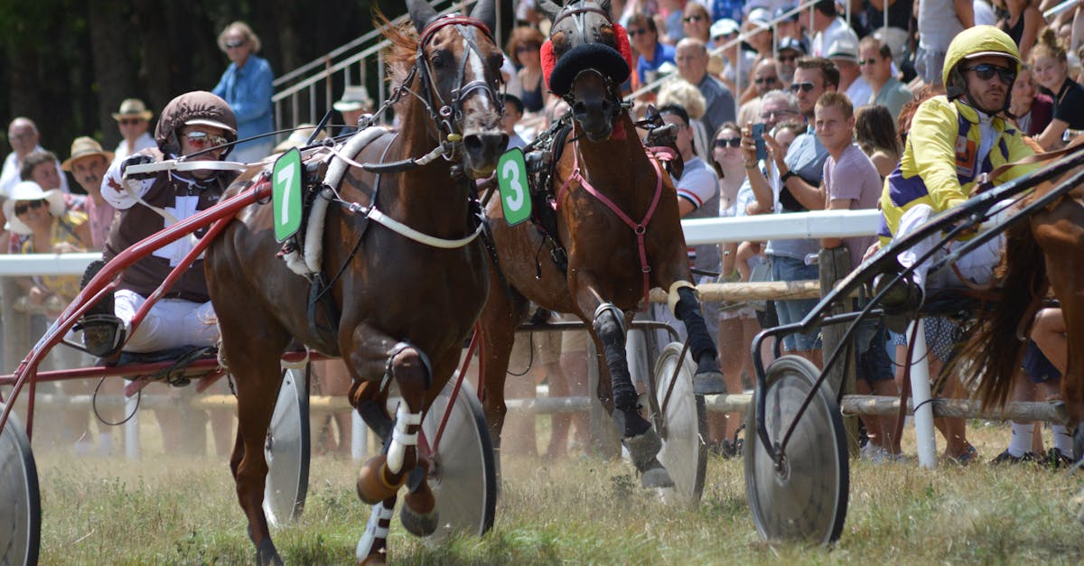 Melbourne Cup hero — Australia's biggest race