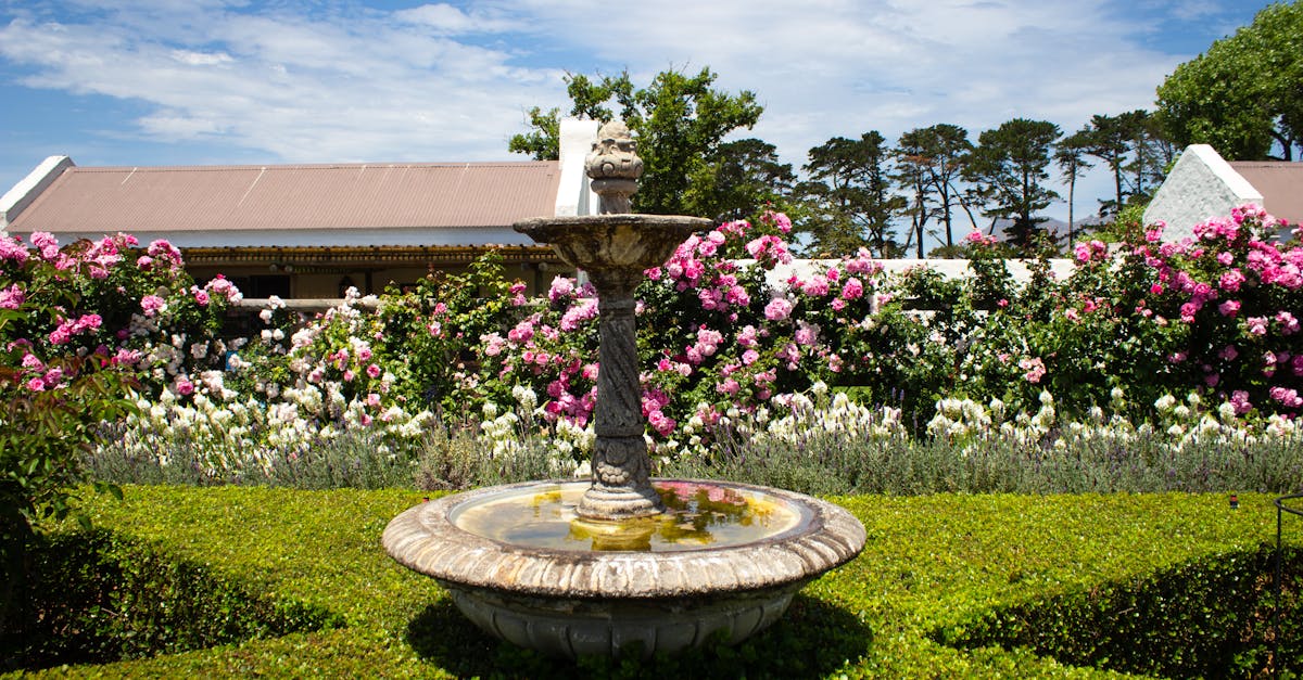 Rose garden and herbaceous beds