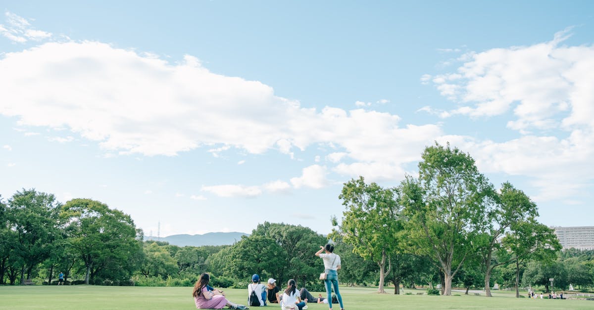 Picnicking on the Great Lawn