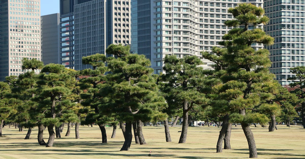 Collingwood and inner-north parks