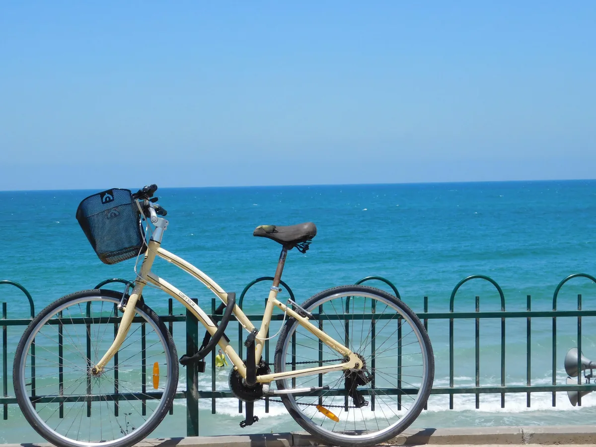 A coastal bike path along Port Phillip Bay near Melbourne