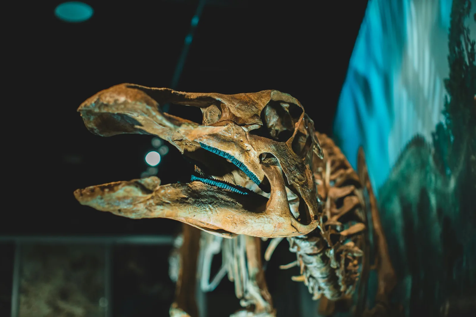 Children looking at a dinosaur skeleton at Melbourne Museum