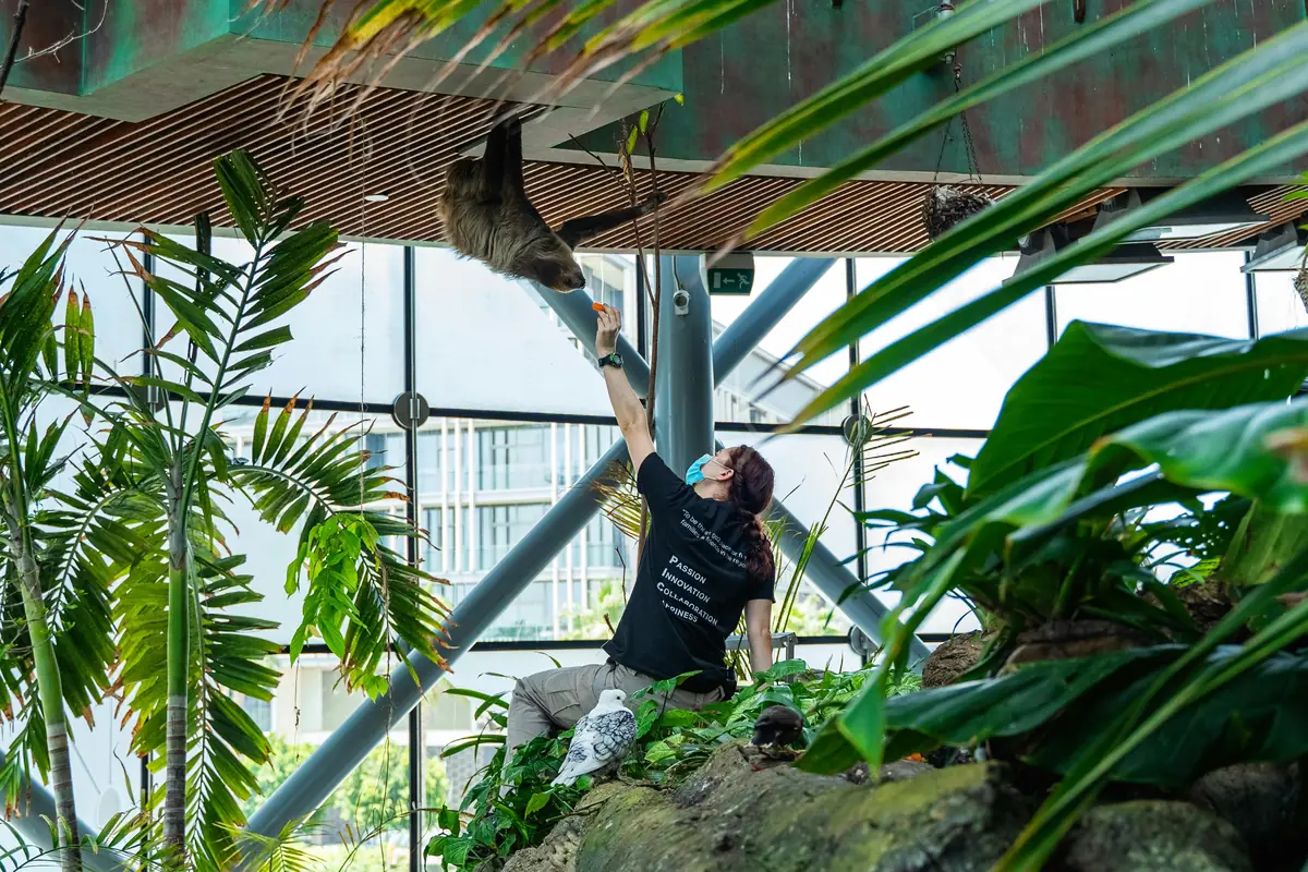 A popular paid attraction in Melbourne such as the zoo or skydeck