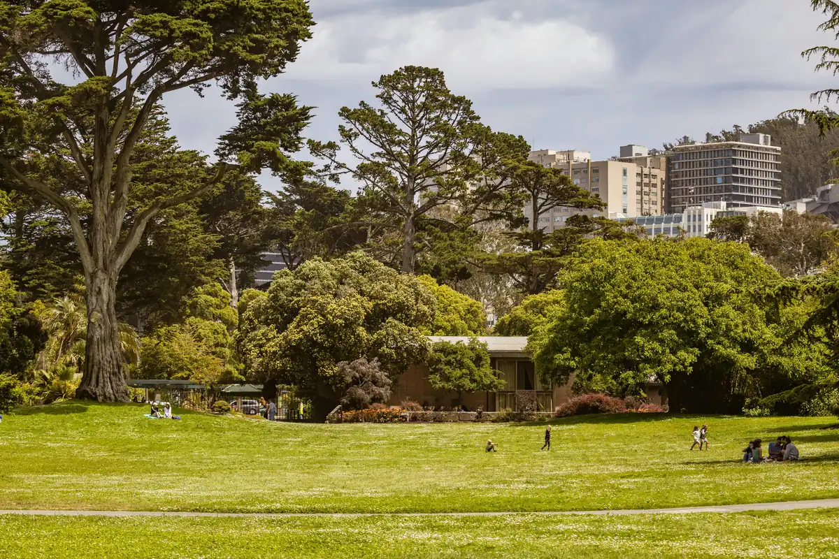 People relaxing on lawns in a Melbourne park with city views