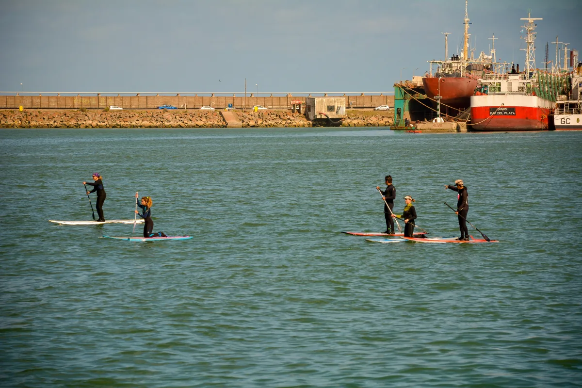 People stand-up paddleboarding on calm water in Melbourne