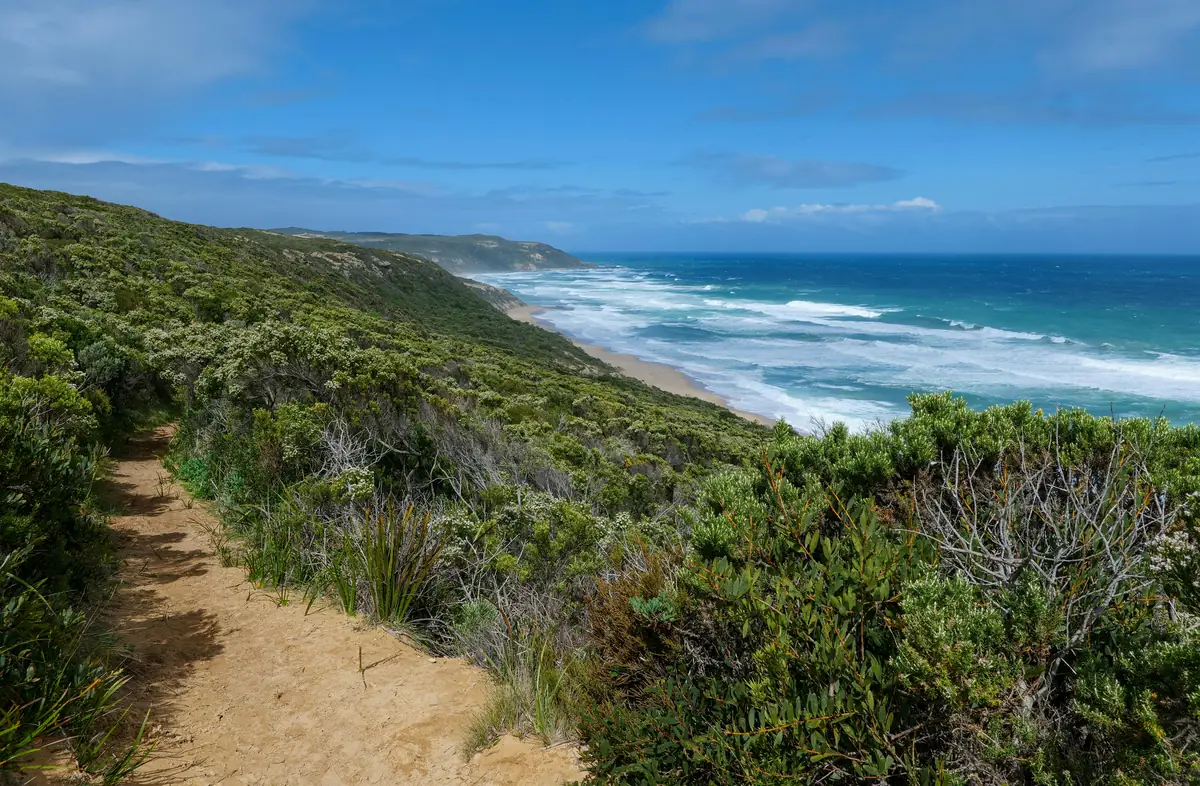 A rugged coastal hiking trail on the Mornington Peninsula near Melbourne