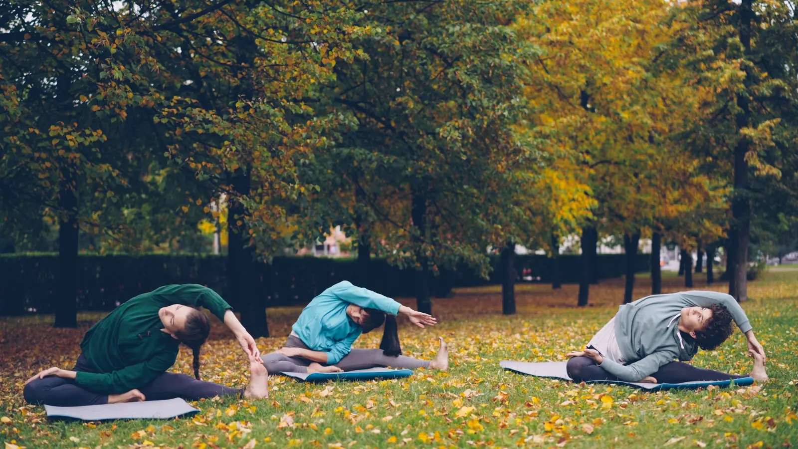 An outdoor yoga class in a Melbourne park at sunrise