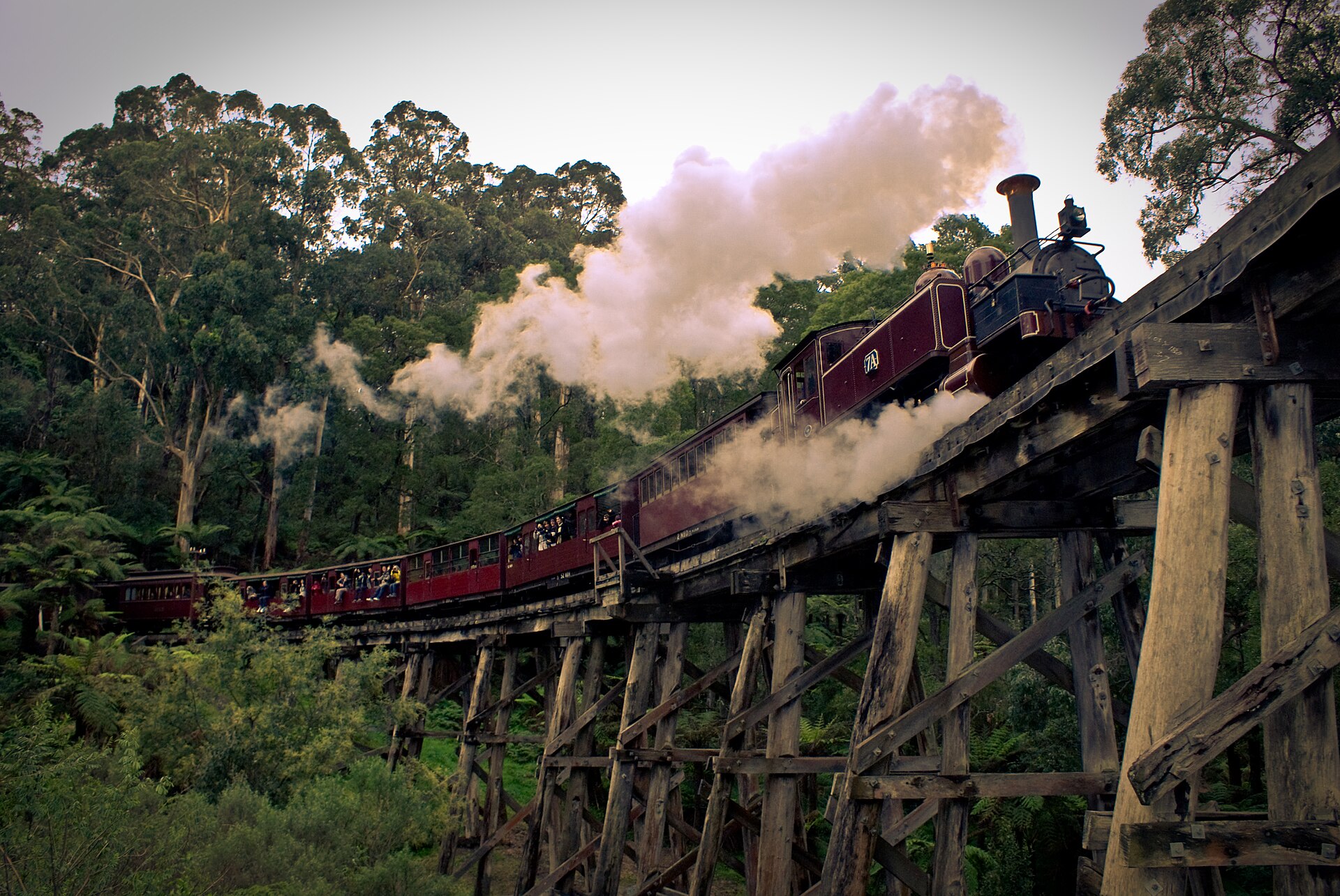 Puffing Billy steam train crossing the wooden trestle bridge in the Dandenong Ranges