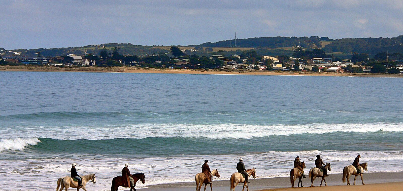 A line of horse riders walking along the beach at Apollo Bay with the town and green hills behind
