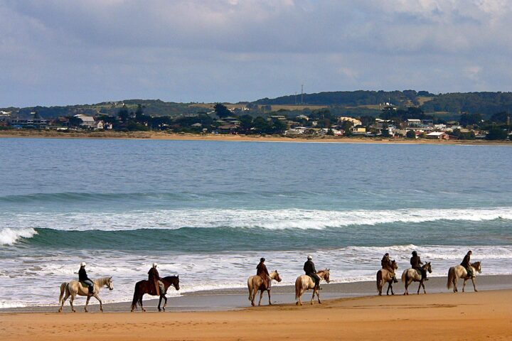 A line of horse riders walking along the beach at Apollo Bay with the town and green hills behind