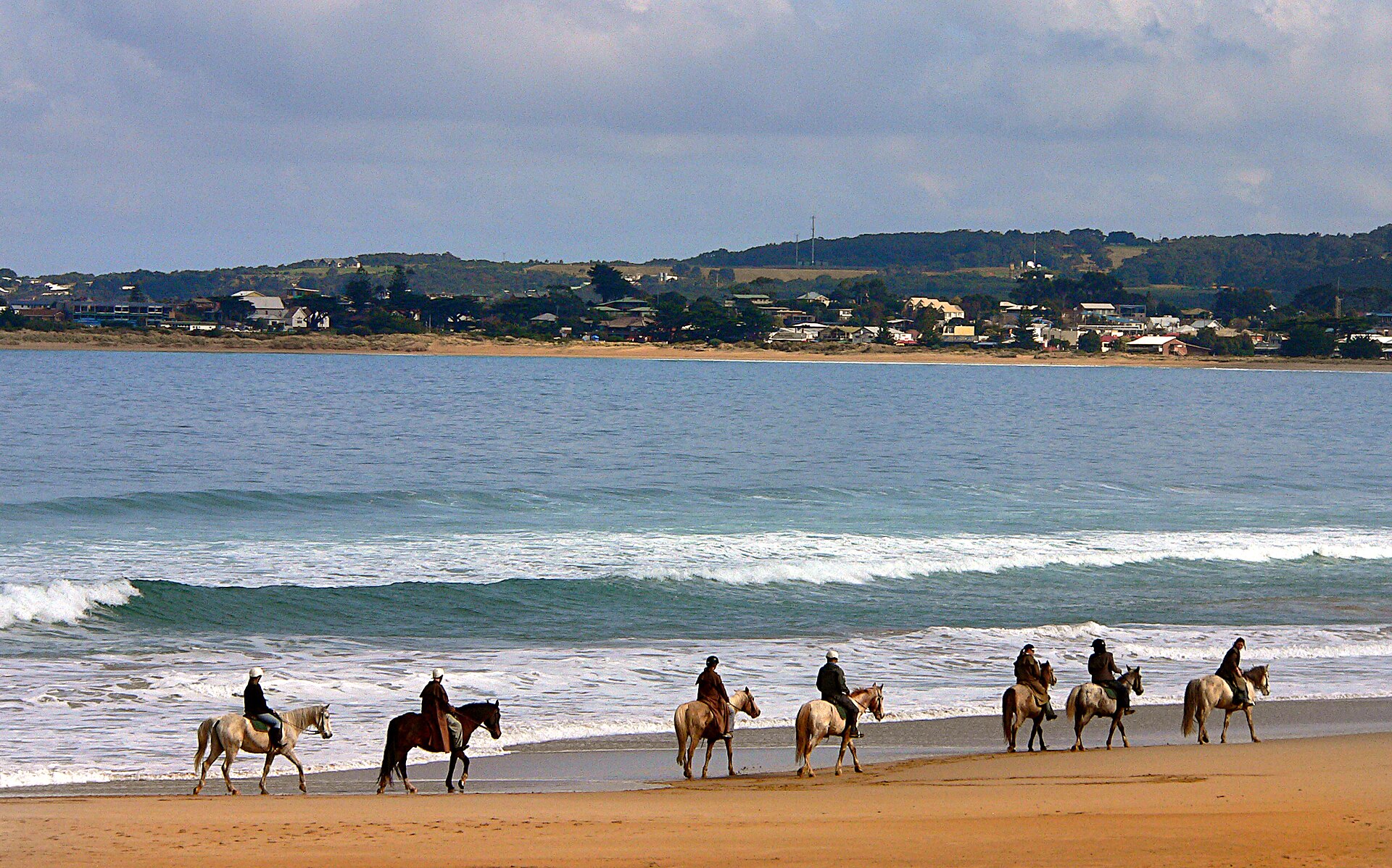 A line of horse riders walking along the beach at Apollo Bay with the town and green hills behind