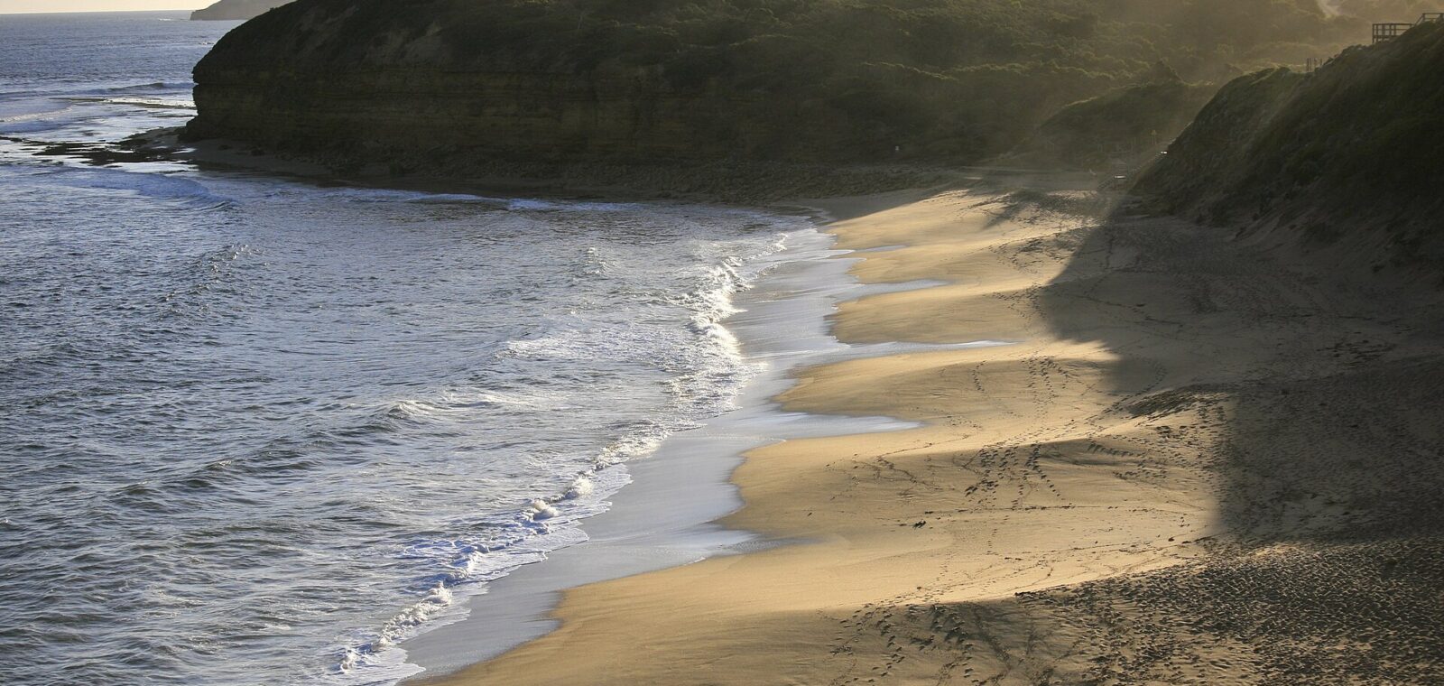 Bells Beach seen from the clifftop, a curve of sand below a forested headland with waves washing onto the shore in late light