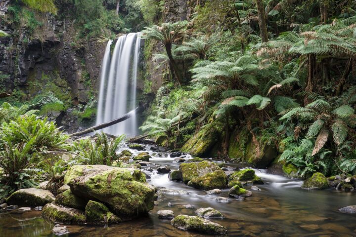 Hopetoun Falls pouring into a rocky pool surrounded by tree ferns and moss-covered boulders in the Otway rainforest