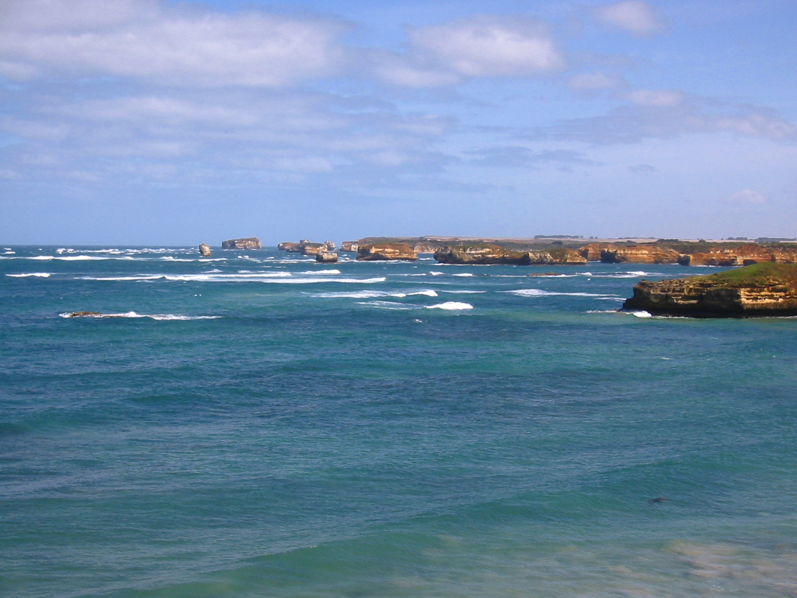 Rock stacks and low cliffs scattered across a wide blue bay at the Bay of Islands, with rough water and a long line of coastline in the distance
