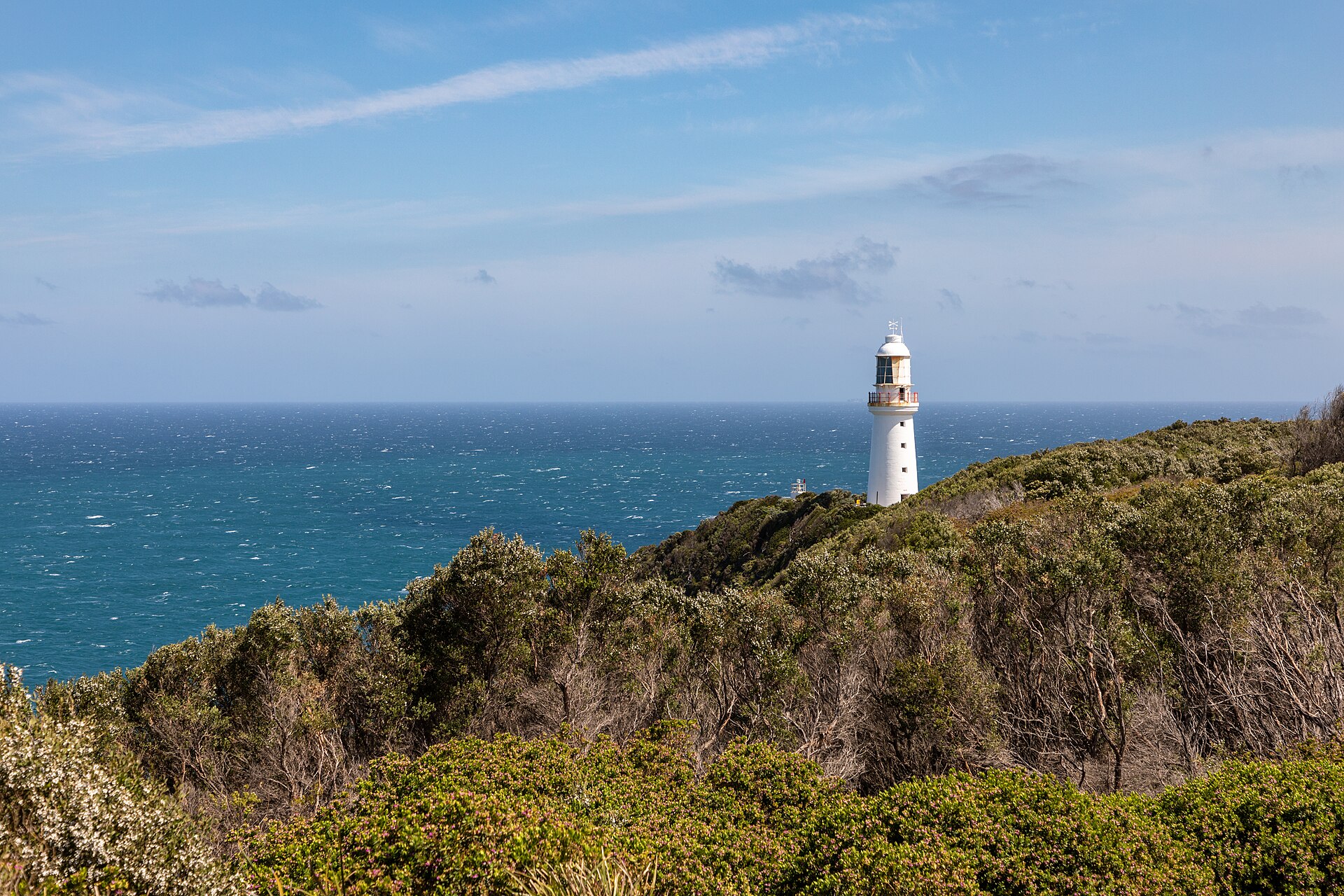 The white Cape Otway lighthouse rising above dense coastal scrub on the headland, with the blue Southern Ocean behind