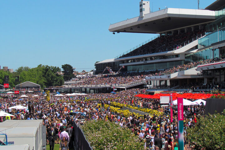 Packed lawns and the tiered main stand at Flemington Racecourse on Melbourne Cup Day, with red roses along the rail